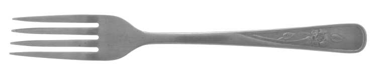 WAF10 (STAINLESS) Fork