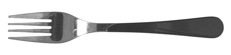 WAF11 (STAINLESS) Fork
