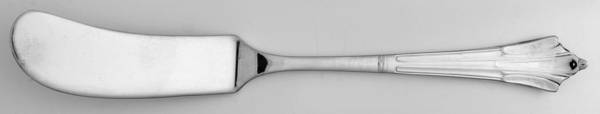 Albany (Silverplate, 1996) Flat Handle Master Butter Knife