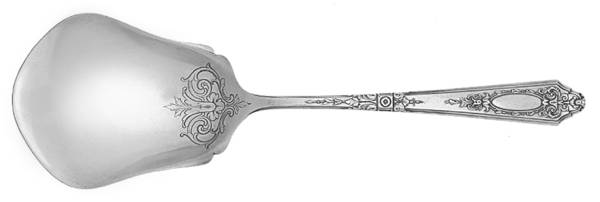 Astor (Silverplate, 1925, No Monograms) Solid Smooth Casserole Spoon