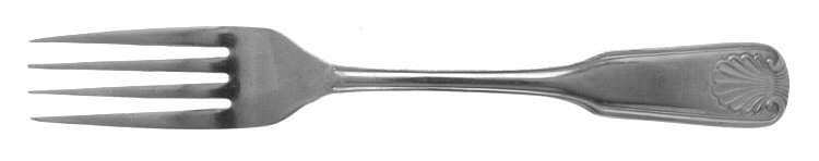 Coral (Stainless) Fork