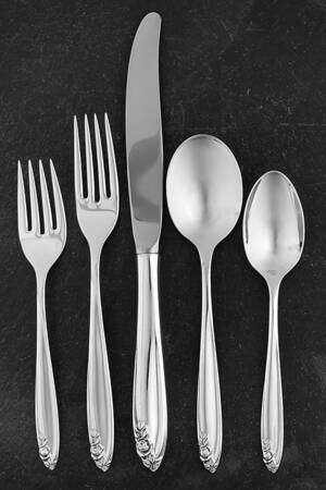 Debutante (Sterling, 1960) 40  Piece Estate Set