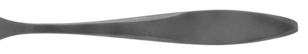 Destiny (Stainless)