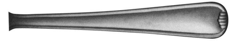 Diplomat (Stainless) by Wallace Silver