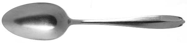 Fleetline (Stainless) Tablespoon (Serving Spoon)