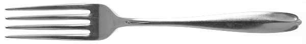 Fleetline (Stainless) Fork