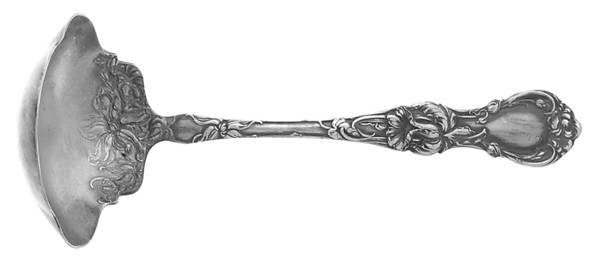 Floral (Silverplate, 1902) Solid Gravy Ladle