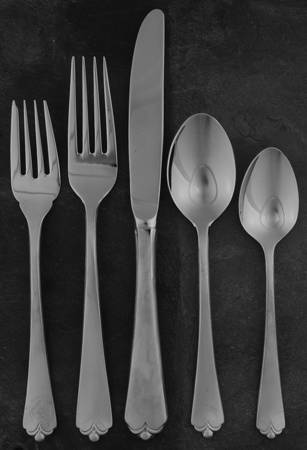 Lotus (Stainless) 5 Piece Place Setting