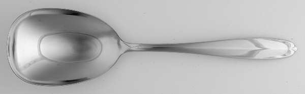Lure (Stainless) Solid Smooth Casserole Spoon