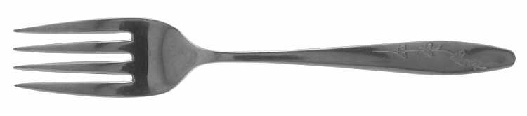 New Day (Stainless) Individual Salad Fork