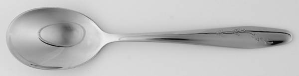 New Day (Stainless) Sugar Spoon