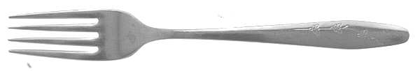 New Day (Stainless) Fork
