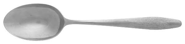 New Day (Stainless) Tablespoon (Serving Spoon)