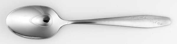 New Day (Stainless) Teaspoon