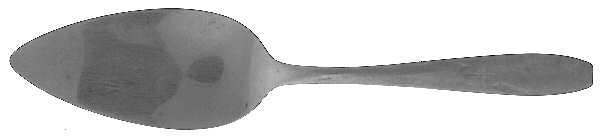 North Star (Stainless) All Stainless Pie Server