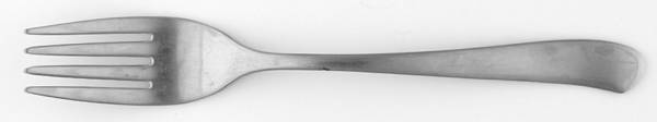 Saybrook (Stainless) Youth Fork