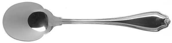 Shellbrook (Stainless) Sugar Spoon