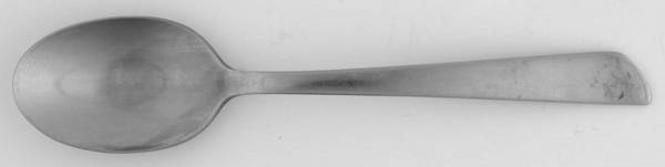 Slant (Stainless) Teaspoon