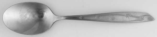 Snow Fall (Stainless) Teaspoon