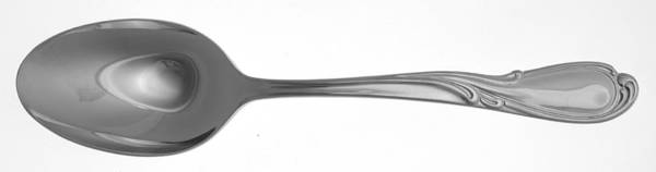 Soliloquy (Stainless) Tablespoon (Serving Spoon)