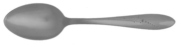 Star Stream (Stainless) Tablespoon (Serving Spoon)