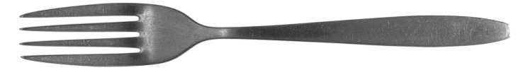 WAS21 (STAINLESS) Fork
