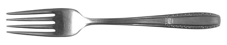 WAS28 (STAINLESS) Fork