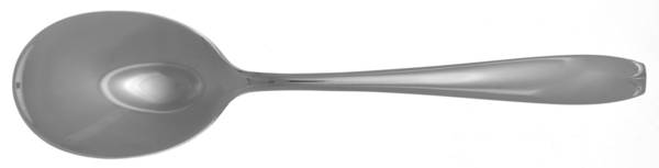 WAS29 (STAINLESS) Sugar Spoon