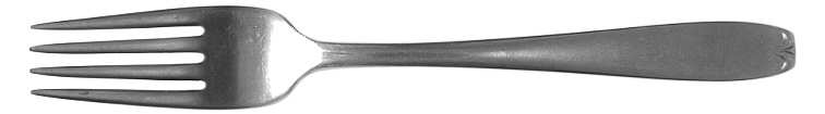 WAS29 (STAINLESS) Fork