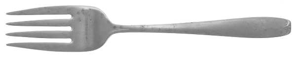 WAS29 (STAINLESS) Individual Salad Fork