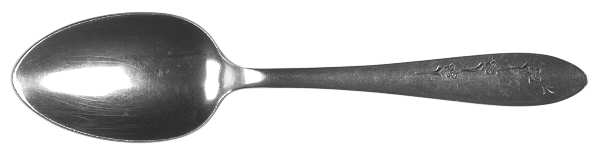 WAS36 (STAINLESS) Tablespoon (Serving Spoon)