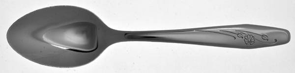 Windswept (Stainless) Tablespoon (Serving Spoon)