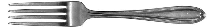 WBW3 (Stainless) Fork