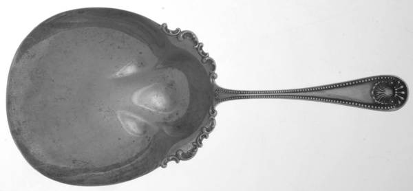 Bead (Sterling, 1880, No Monograms) Cracker Spoon by Whiting Manf Co