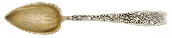 Berry (Sterling, 1880) Fruit/Orange Spoon by Whiting Manf Co