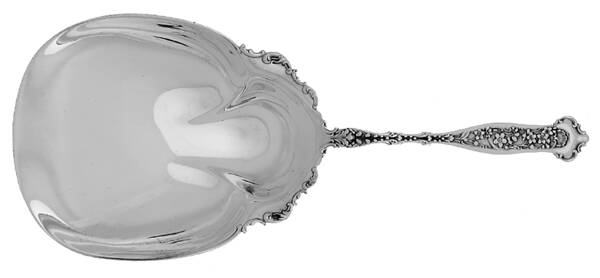 Dresden (Sterling, 1896) Cracker Spoon by Whiting Manf Co