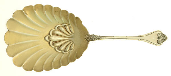 Empire (Sterling, 1892) Cracker Spoon by Whiting Manf Co