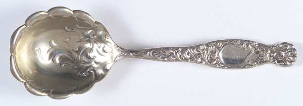 Heraldic (Sterling, 1880) Preserve Spoon