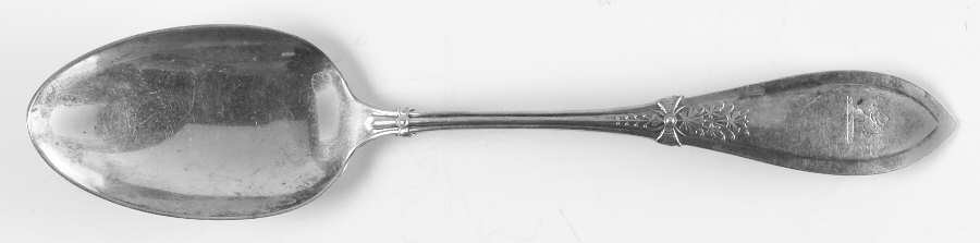 Italian (Sterling, 1880) Tablespoon (Serving Spoon)