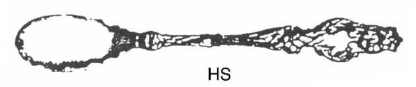 Lily (Sterling, 1902, Lion-Pat.1902) Large Horseradish Serving Spoon
