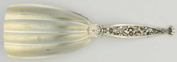 No 1 (Sterling, 1885) Tea Caddy Spoon