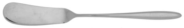 Aura (Stainless) Flat Handle Butter Spreader