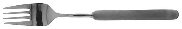 Nova-Black (Stainless) Fork