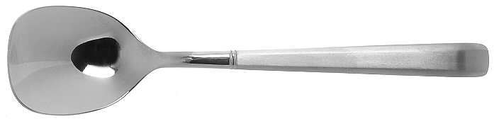 Octa (Stainless) Sugar Spoon