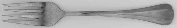Symmetry Individual Salad Fork
