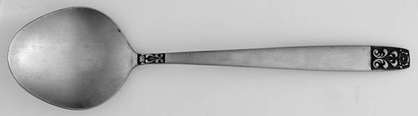 WOF14 (STAINLESS) Sugar Spoon