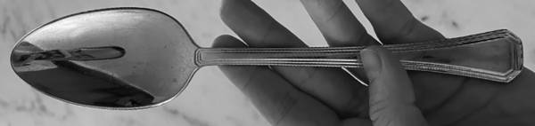 Octagano (Stainless) Place/Oval Soup Spoon
