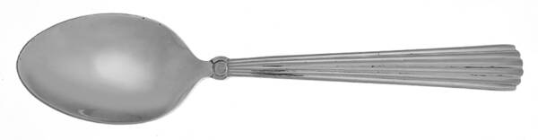Carleton (Stainless) Casserole Spoon with Smooth Stainless Bowl HC