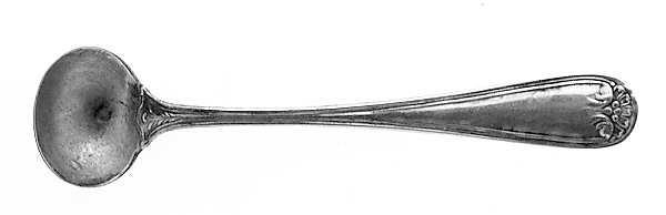 Bunker Hill (Sterling, 1910) Master Salt Spoon