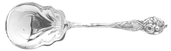 Orchid (Sterling, 1903) Preserve Spoon
